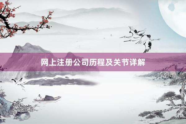 网上注册公司历程及关节详解