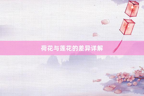 荷花与莲花的差异详解