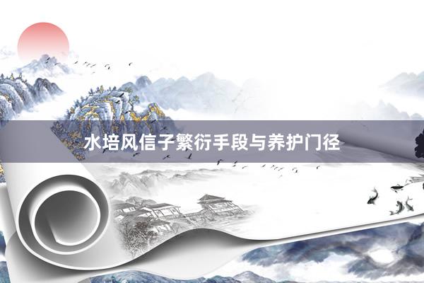 水培风信子繁衍手段与养护门径